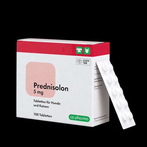Prednisolon Bestellen Generika Deutschland