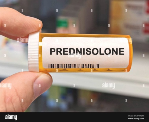 Prednisolon Kaufen Deutschland Preis